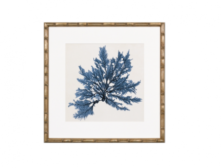 Coral Print with bamboo style frame in navy blue