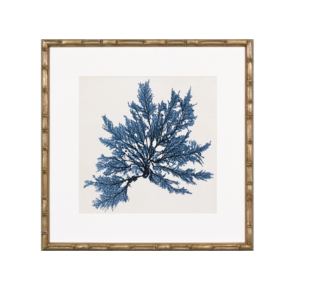 Coral Print with bamboo style frame in navy blue