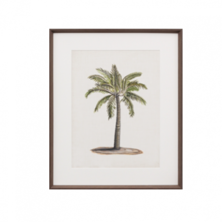 British Palm Tree print