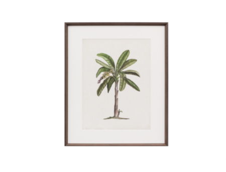 British Palm Tree print