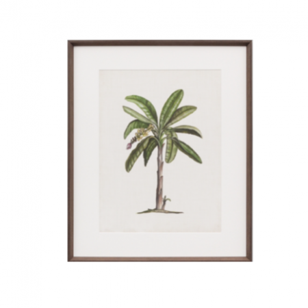 British Palm Tree print