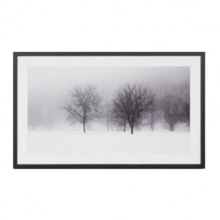 Forest black & white print in a black frame