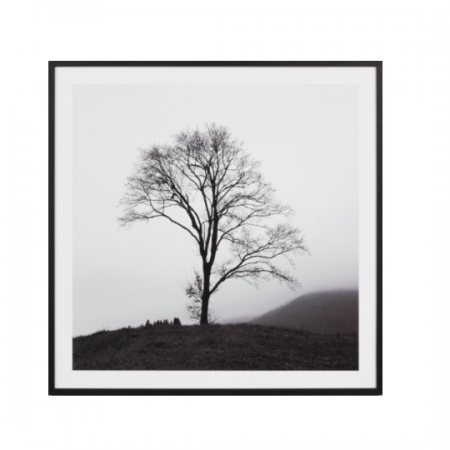 Tree on a hill black & white print in a black frame